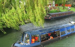 The Bridge Waterbeach Rosie passing moorings 800x500